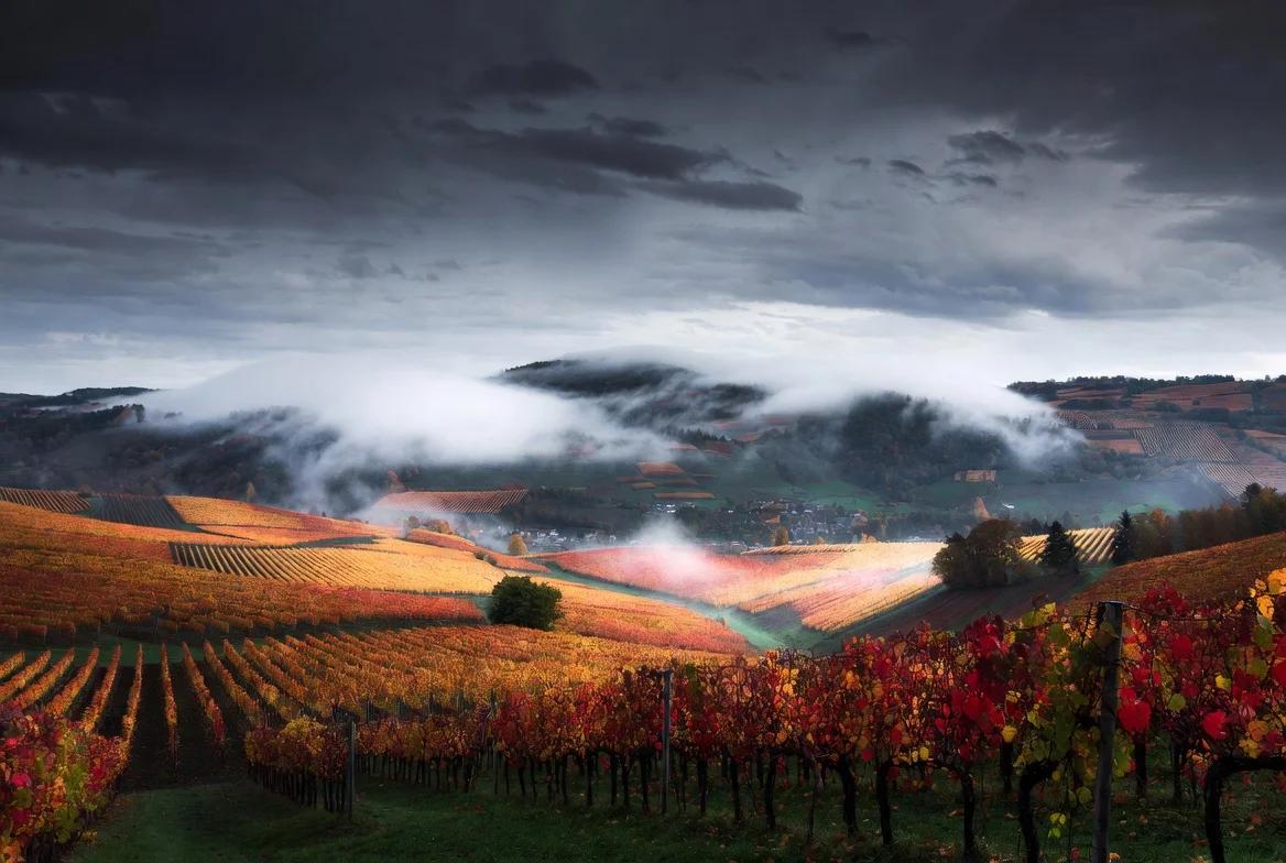 Neu auf WeinRadar: Weingut & Buschenschank Thomas Unger in Tillmitsch